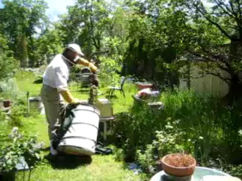 Description: D:\joeford's Documents\My Web Sites\jf.com\other_things\other_things_files\image001.jpg